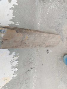 Cricket Bat