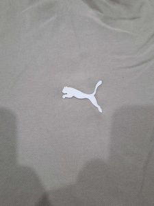 Puma X BMW Khakhi Polo T-shirt