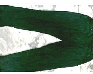 Green Colour Formal Pant