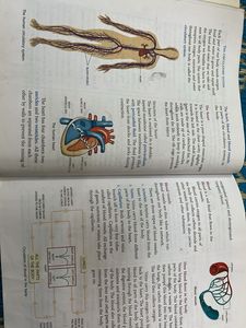 Science Magic - Textbook