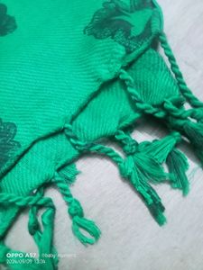 Soft Beautiful Green Long Scarf