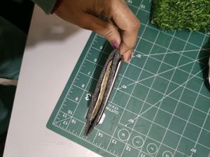 Card Holder