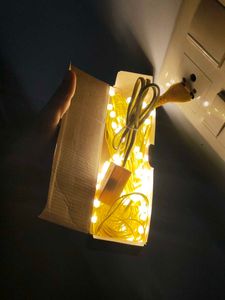 Philips StarLit LED String Fairy Light