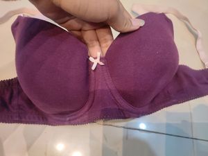 Zivame Padded Wired T Shirt Bra