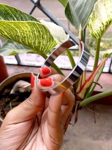 Silver Bangle Bracelet And Earring set