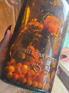 Unique Distillers Bottle Lamp