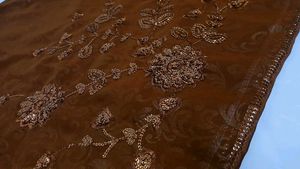 Coffee Brown Saree with Sequin Embroidery