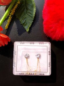 Two In One Elegant Earring