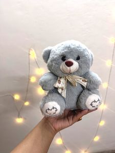 Plush Teddy Bear