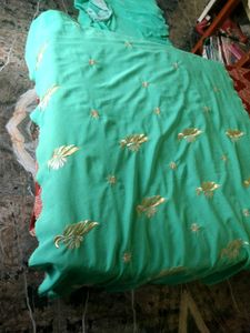 Mint Green & Gold Embroidered Saree