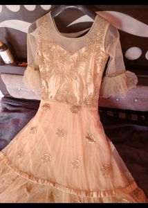 Party Wear Cindrella Gown For Women With Cancan Fu