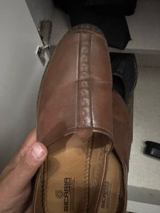 Sicaria Tan Bellies Wore Thrice Only With Box