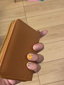Brown Beauty Wallet