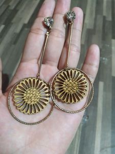 Beautiful earrings