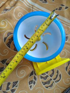 Hamster Exercise Wheel