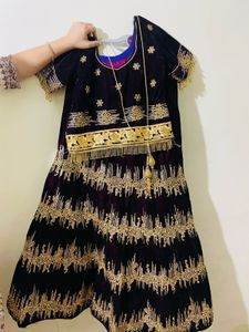 Embroidered Lehenga Choli