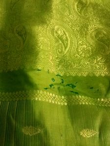 Bnarshi Saari