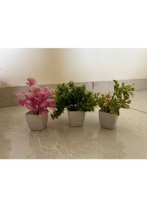 Set Of 5 Artificial Plants