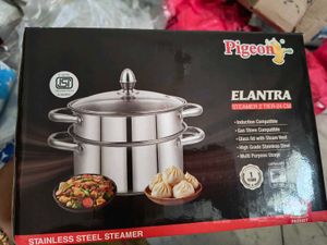 Pigeon Elantra Steamer