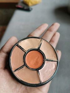 Insight Pro Concealer Palatte
