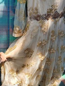 Elegant Ethnic Gown With Side Zip