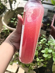 St. D'vence Body Wash - Citrus Burst