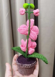 Crochet Orchid Plant