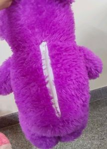 New Purple Teddy