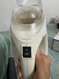Steam Iron