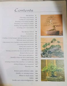 Bonsai for Beginners Book