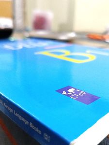 DELF B1 French Exam Guide