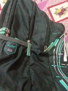 Skybags (School Or Travelling Bag )