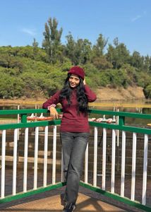 Marron High Neck Top
