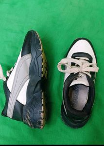 unisex Sparx Sports Shoes - Stylish &amp; Comfy