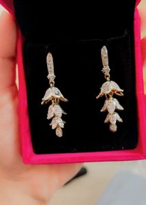 AD Earrings