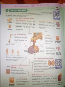 CBSE class 10th Science Learning Book From Byjus