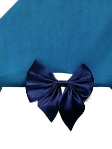 Aesthetic Bow Hair Clips (3pc)
