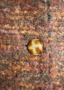 woolen coat Korean style