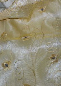 Fairy Tail 🧚‍♀️     Kurti