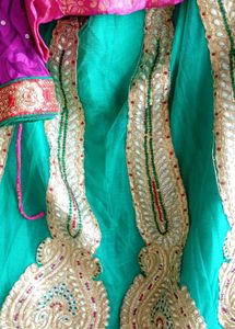 Elegant Lehenga Choli Set