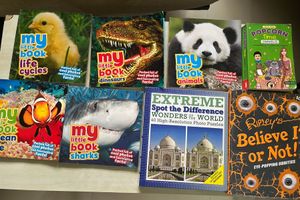 Children's Book Bundle 150 each