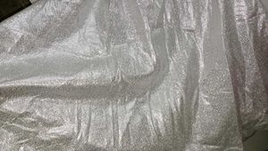 Silver Embellished Maxi Skirt