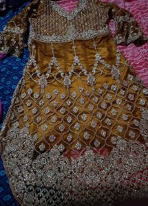 Lehenga And knee length tail Cut top