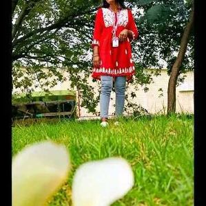 Red Embroidered Tunic Dress