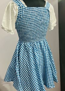 Vintage Blue Dress