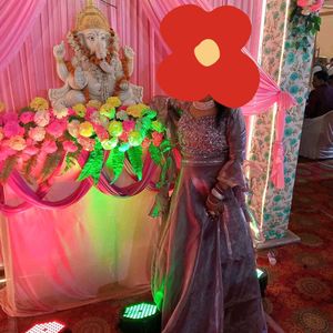 Gorgeous Sequin and Organza Western Lenhga