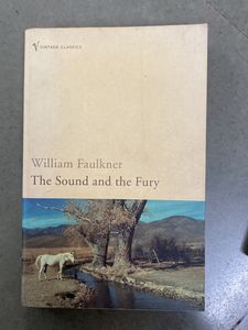 Vintage Classics By Alan Paton And Willian Faulkner