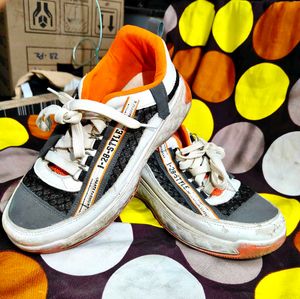 Sneaker Shoes