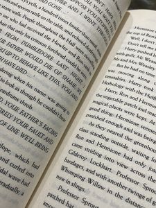 Harry Potter And The Chamber Of Secrets