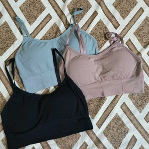 Set Of 3 Padded Tshirt Bra